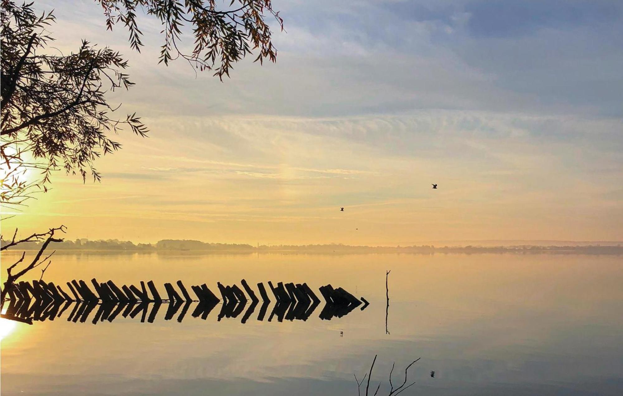 Cozy Home In Lembruch-Duemmer See With Sauna Buitenkant foto